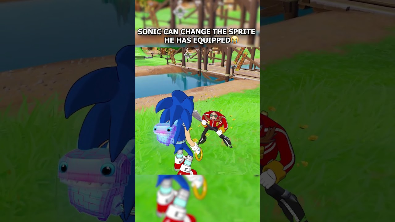 SONIC CAN CHANGE THE SPRITE HE HAS EQUIPPED