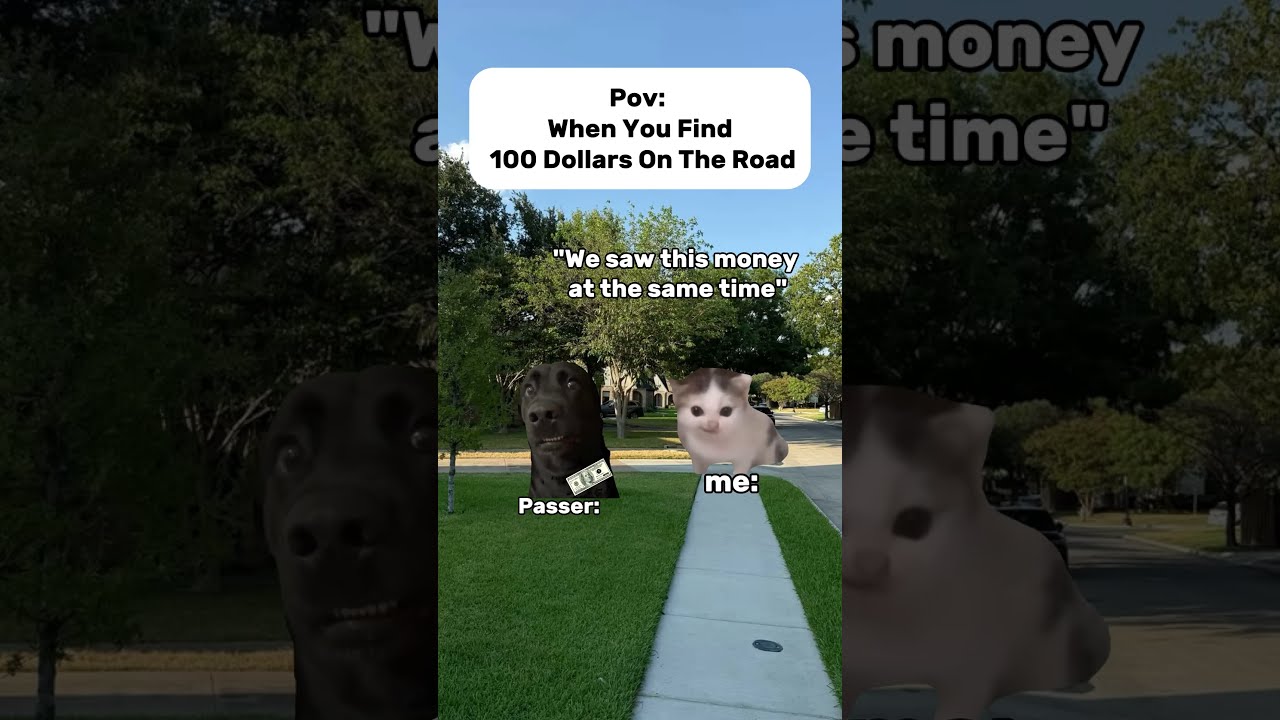 The greatest financial scam in history 😹💵 #shorts  #memes  #cat #relatable #funny