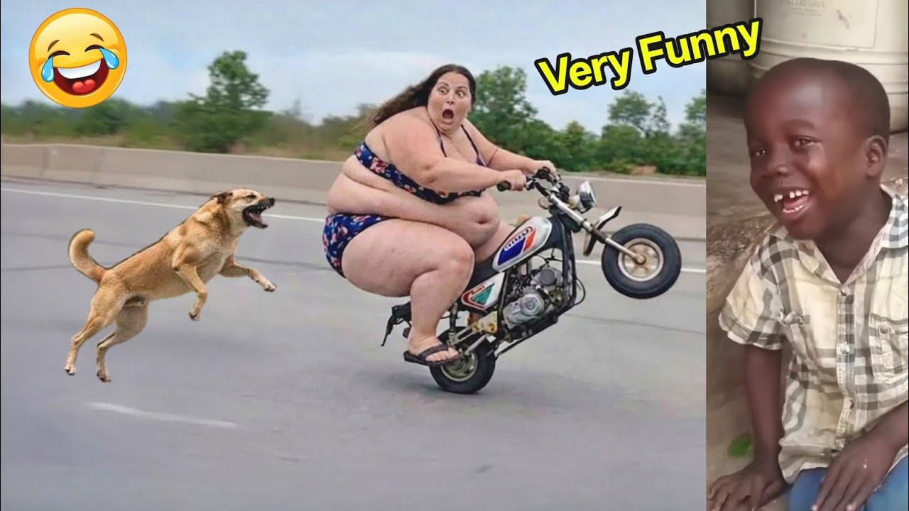 Very Very Funny Videos 2026😂 Try Not To Laugh Challenge😂 Top 100 Funniest Video 🤣 part 27