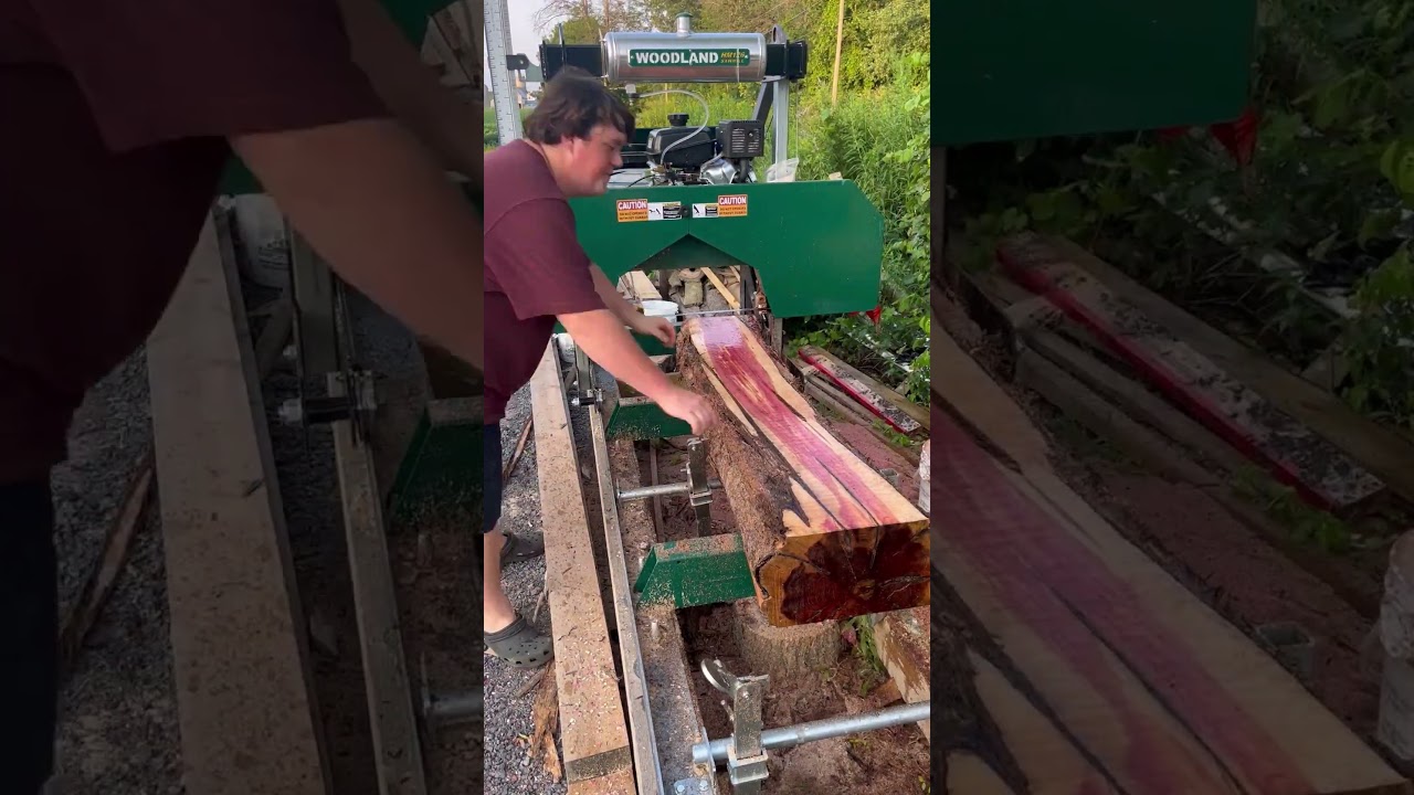 Live edge slabs getting cut up for a client! Guess the species in the comments!