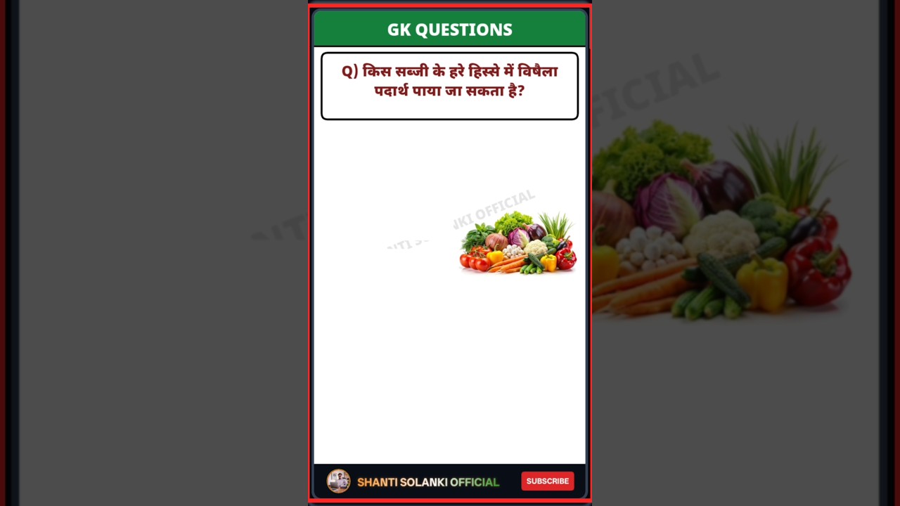 gk ssc|gk quiz |gk question|gk in hindigk|quiz in hindil #sarkarinaukarigk #rkgkgsstudy #education