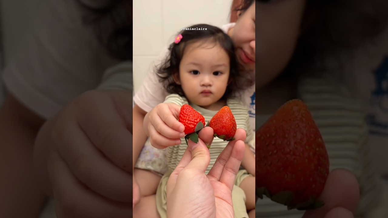YANG MANA TOBELI ASLI?? 🍓 #piuwfamily #fakeorreal #familyvlog #challenge #funny #comedy #challenge