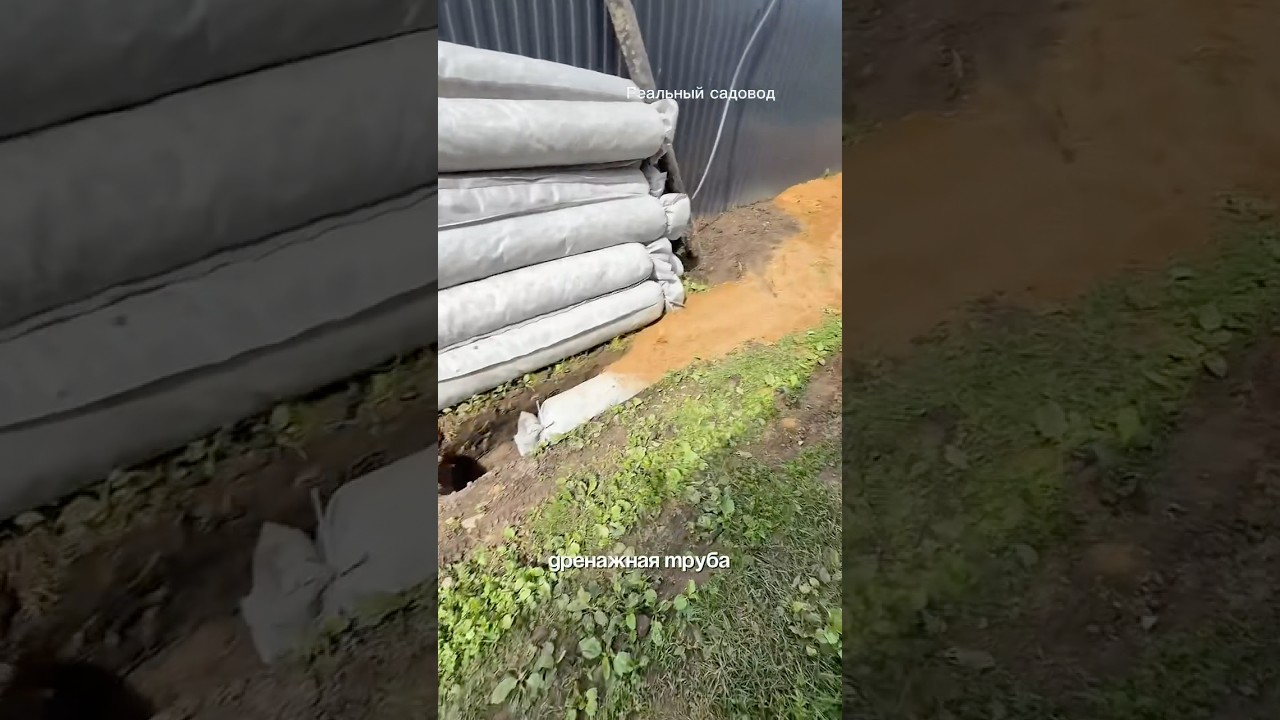 Дренаж #питомникрастений #садоводничество #сад