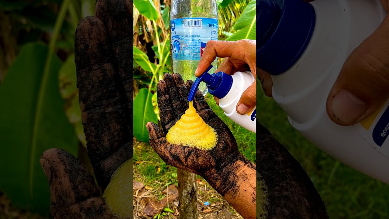 Survival Skills SIMPLE And USEFUL Save SOAP & Water in forest #camping #outdoors #survival #skills
