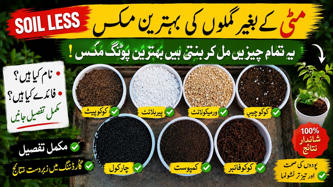 7 Secret Ingredients of Soilless Potting Mix | No Soil Needed!