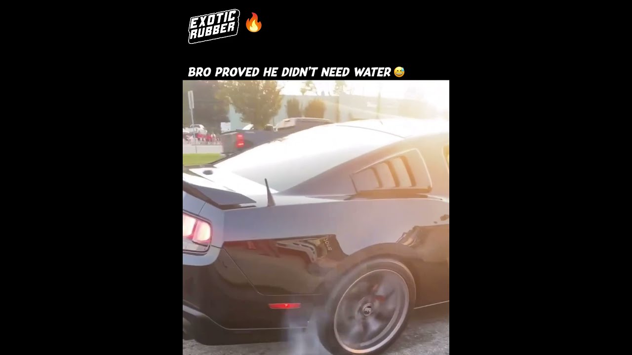Mustang Had To Show Off The Burnout