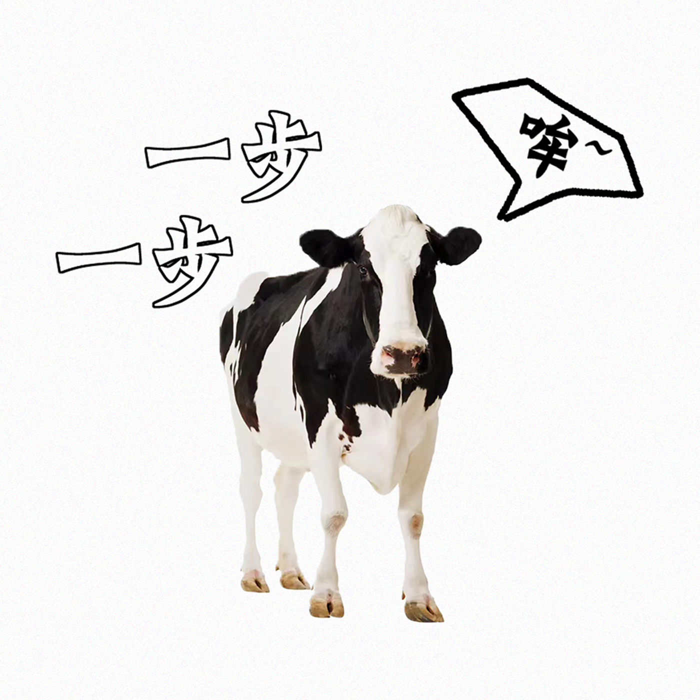 ä¸€æ­¥ä¸€æ­¥ï½œåˆ†äº«ç”Ÿæ´»