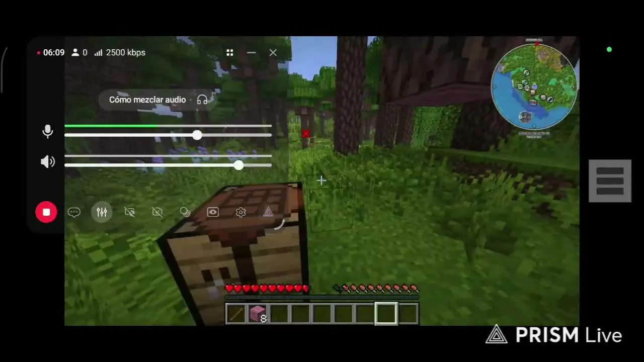 jugando minecraft con mods