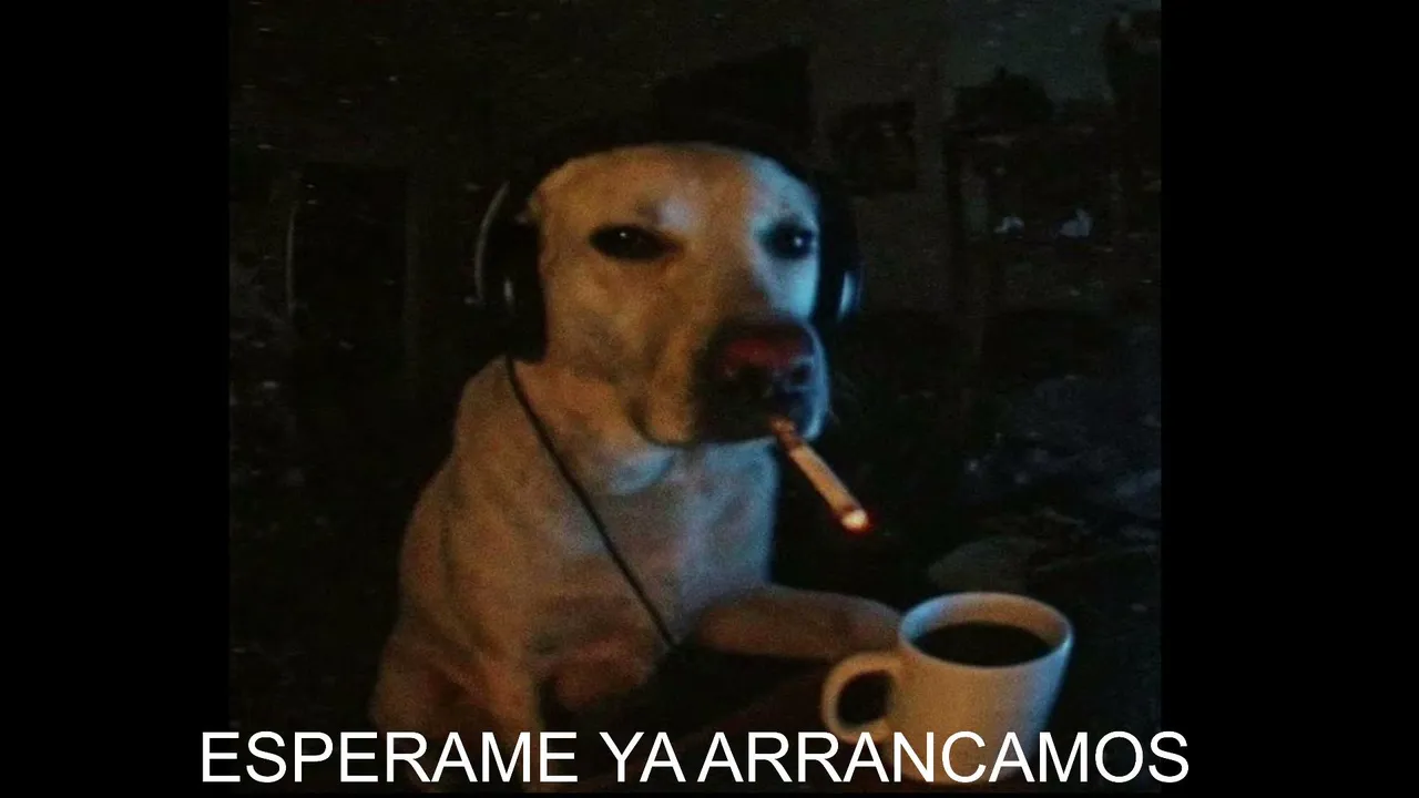 🚨 Jugamos un par de boludeces con los pibets🚨