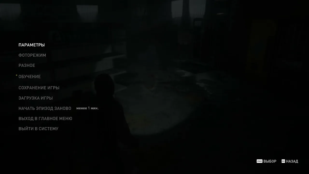 The Last of Us Part II запустил от нечего делать