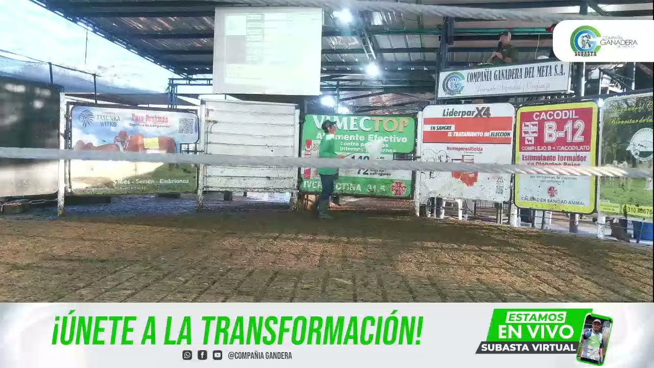 SUBASTA!