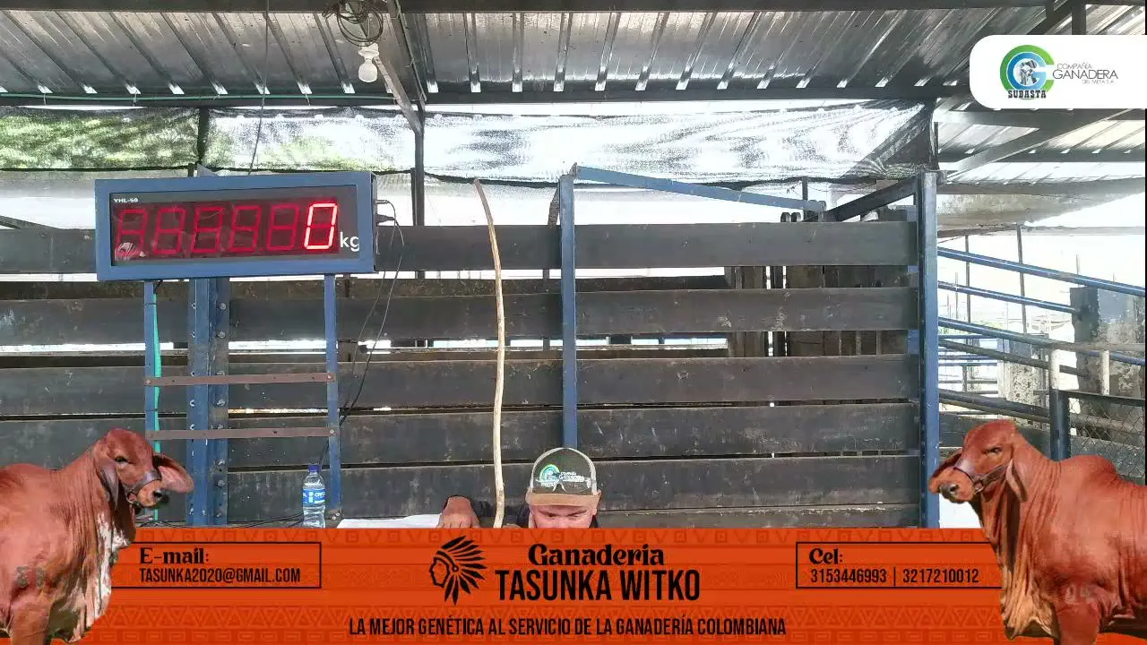 SUBASTA!