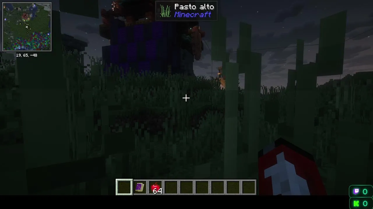 Jugando Minecraft con Sazon
