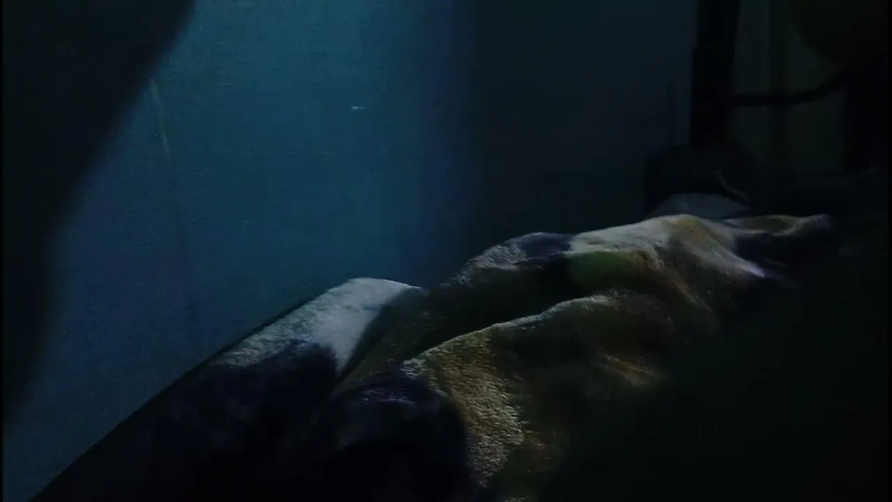 PROBANDO SEÑAL