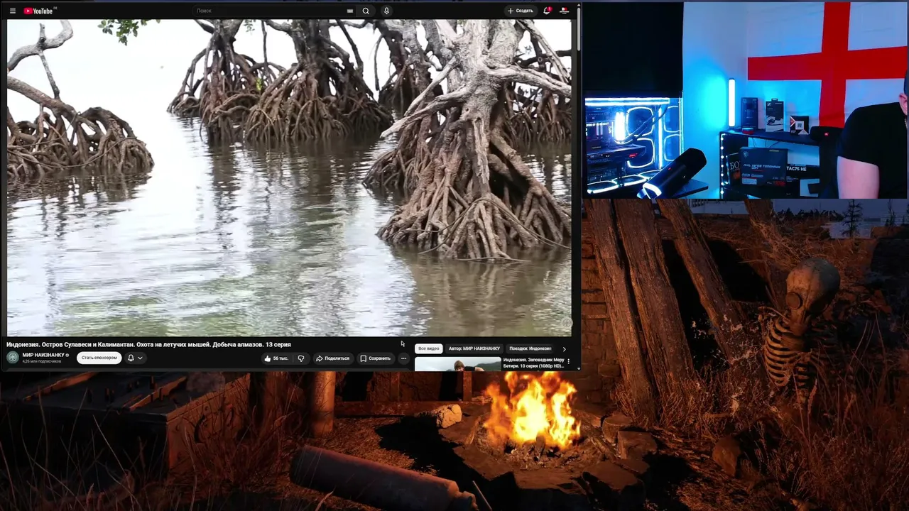 STREAM | СТРИМ: Общаюсь - играю #stream #newstreamer