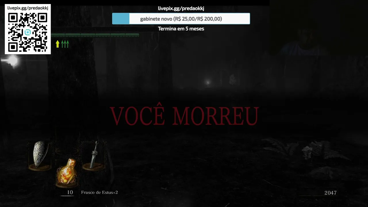 LIVEZINHA NO DARK SOULS