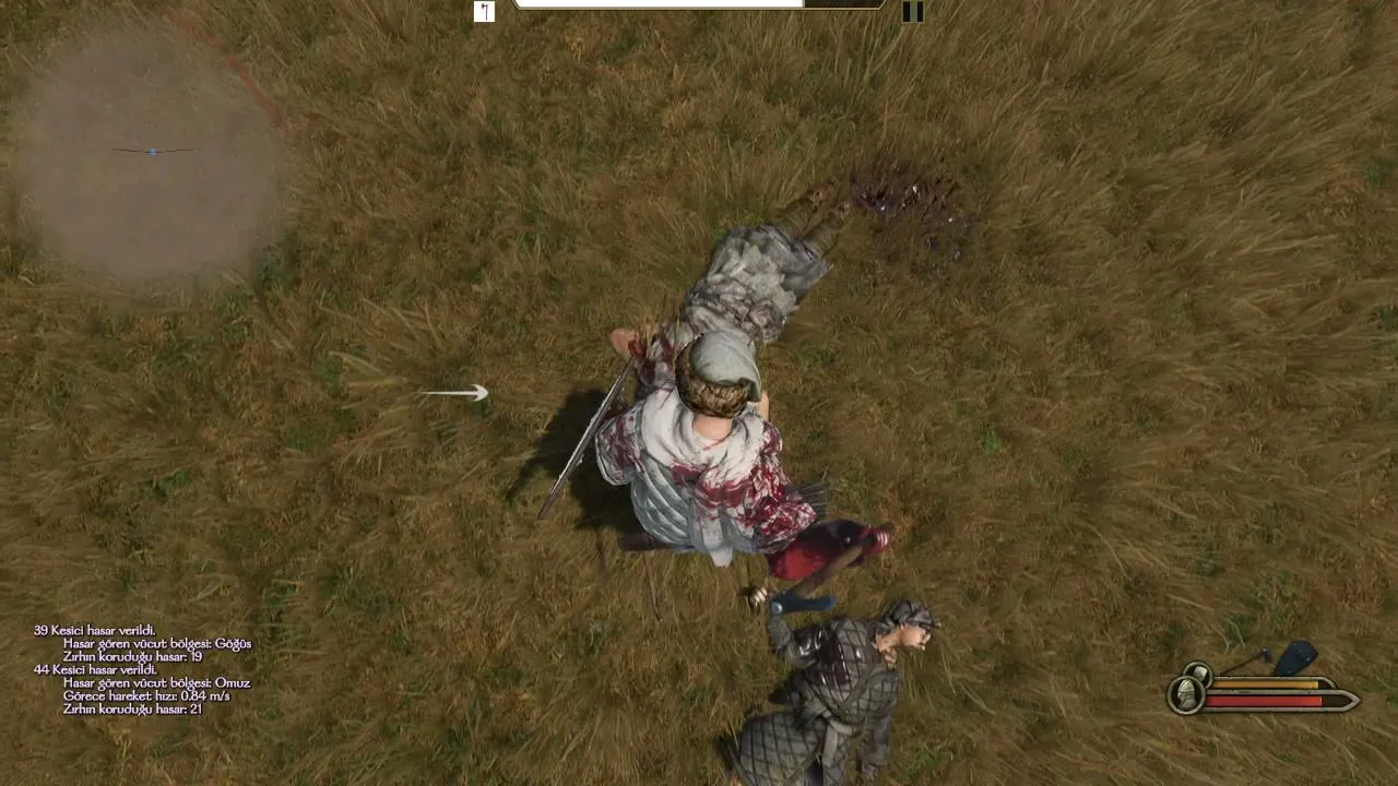 Bannerlord Vikinglerle <3