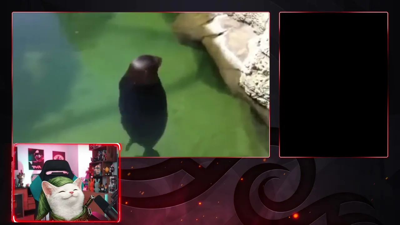 STREAM DE PRUEBA