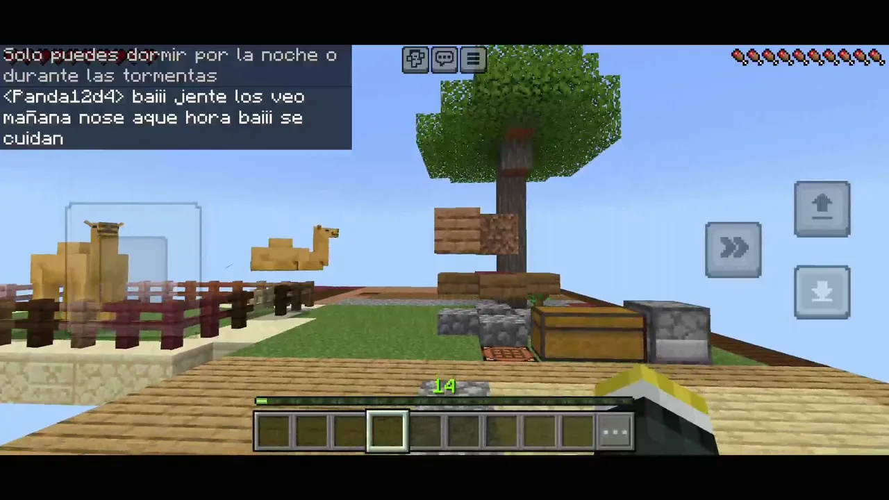 mi primer estrim