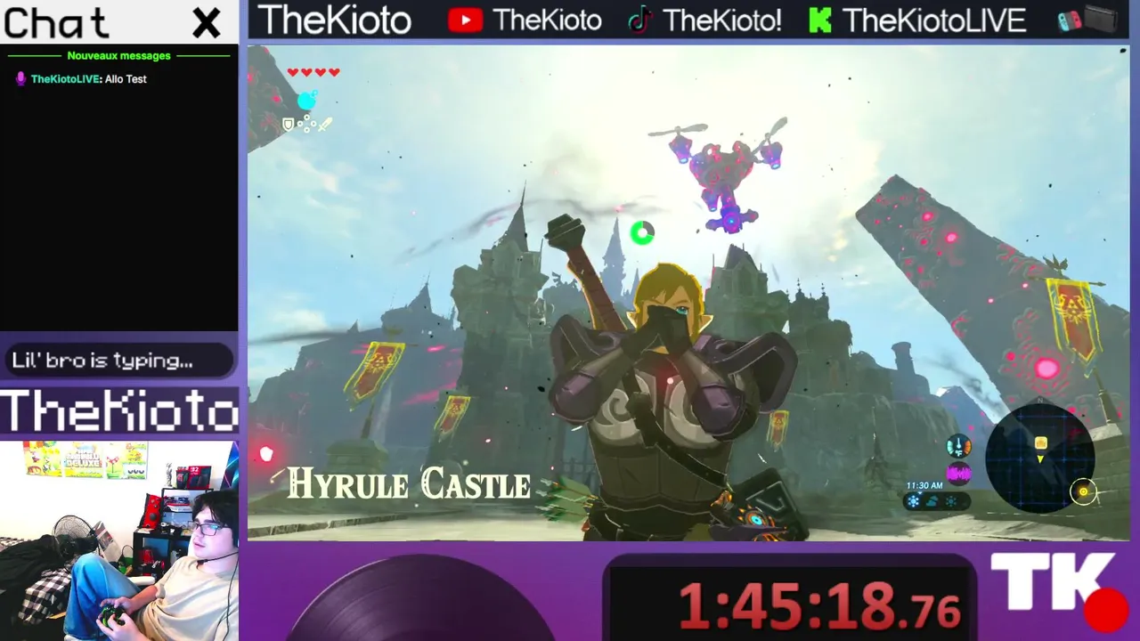 Tentons de 100% BoTW (Stream 1)