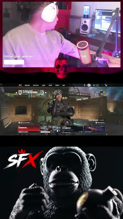 rainbow six seige