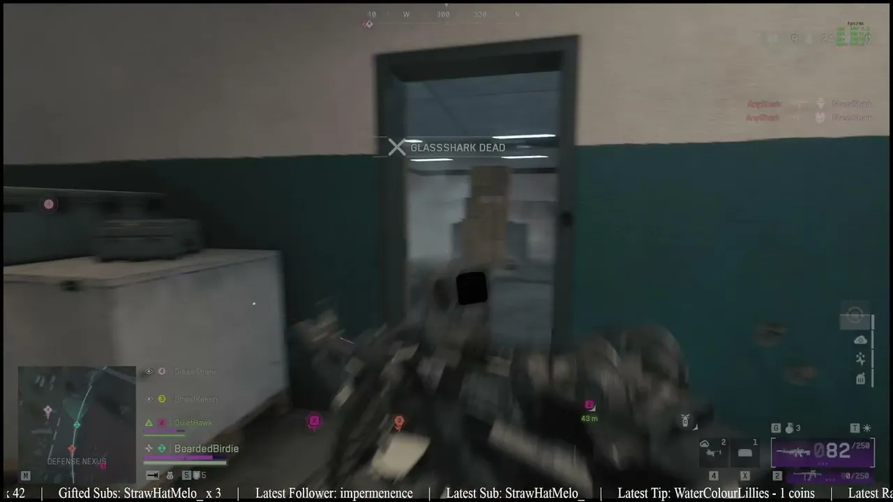 look at what the cat drag back