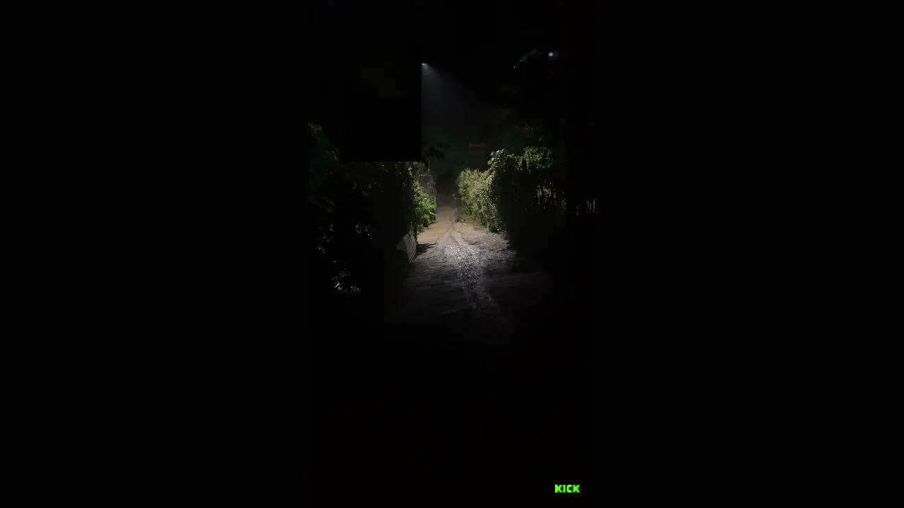 My first stream.