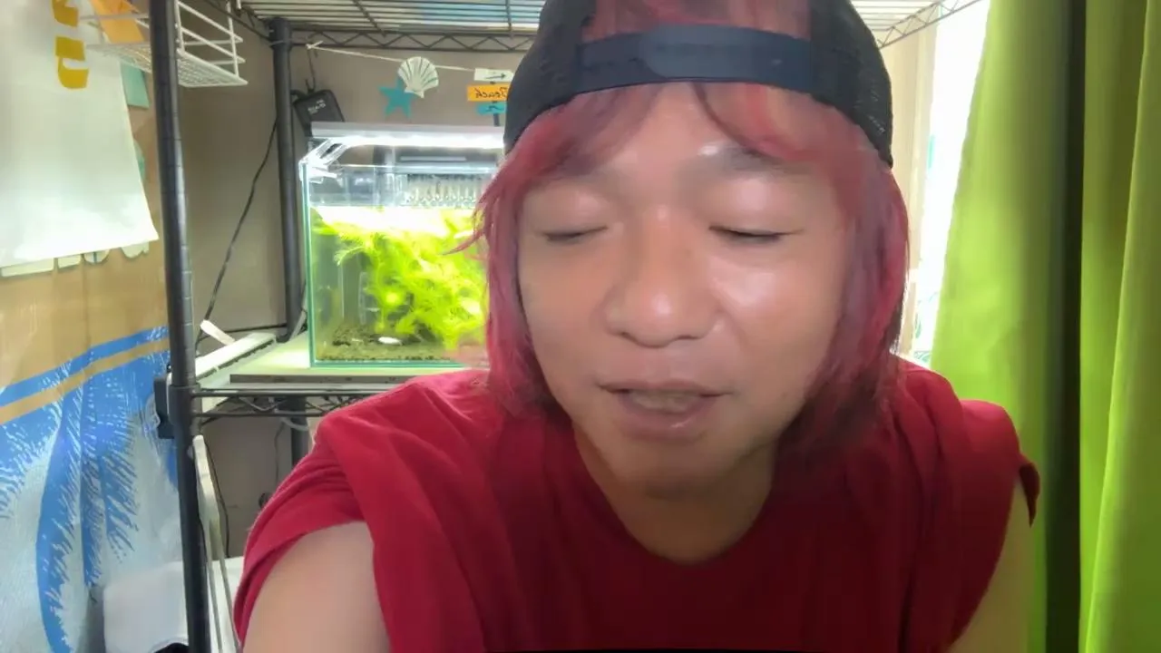 ひっくり返ってしまうよバカな陰謀論者たちよ😎