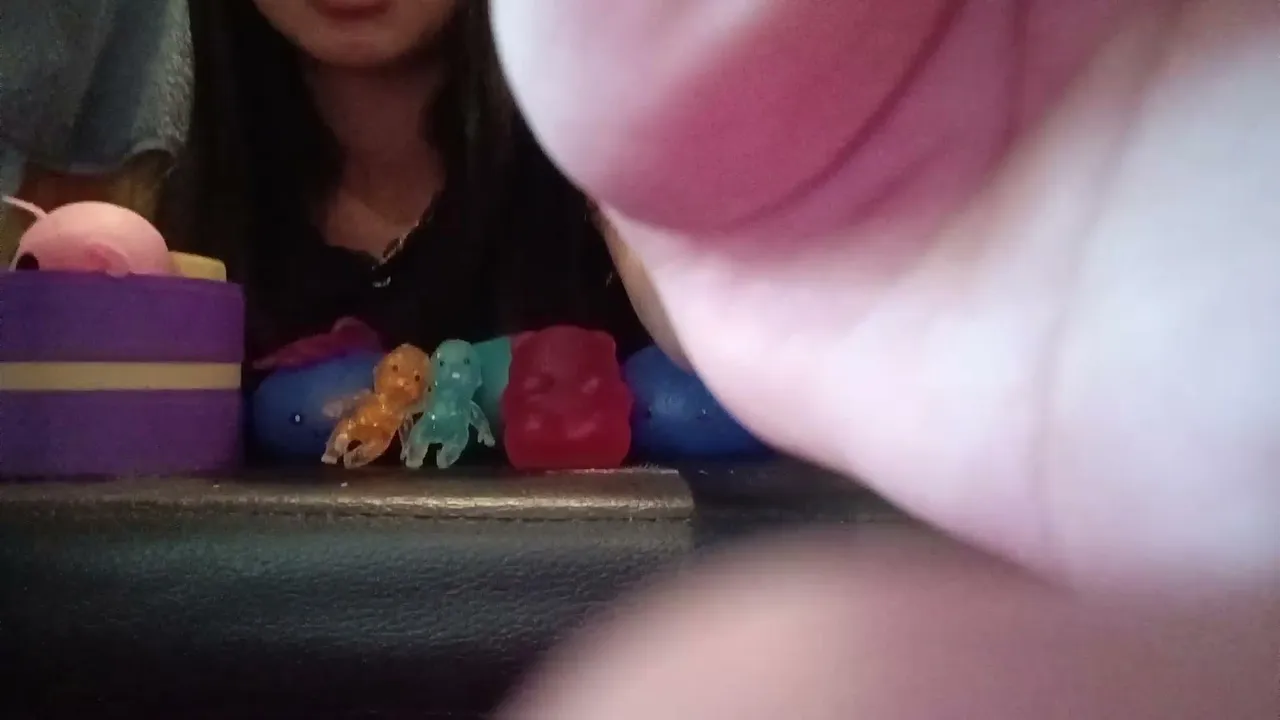 squshis give away