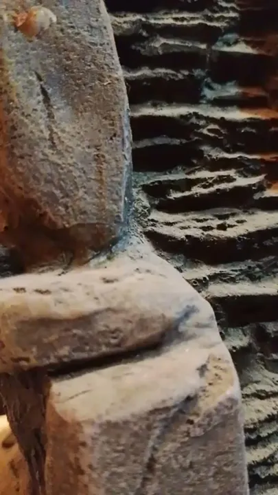 Jarosa Directos