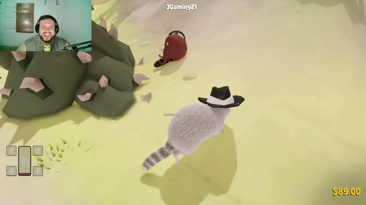 mapaches