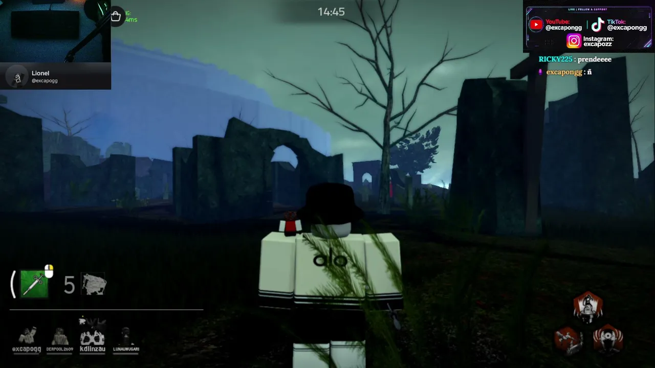 Sale DDV? (roblox)
