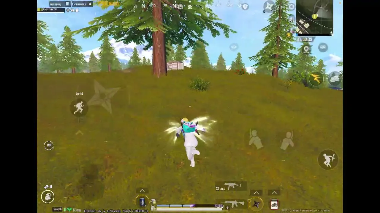 PM 4LIE first stream.