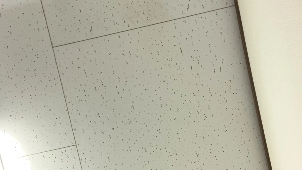 太ももちゃんに顔整ってるって言われた
