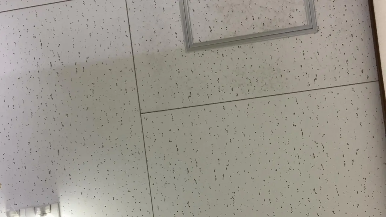 太ももちゃんに顔整ってるって言われた