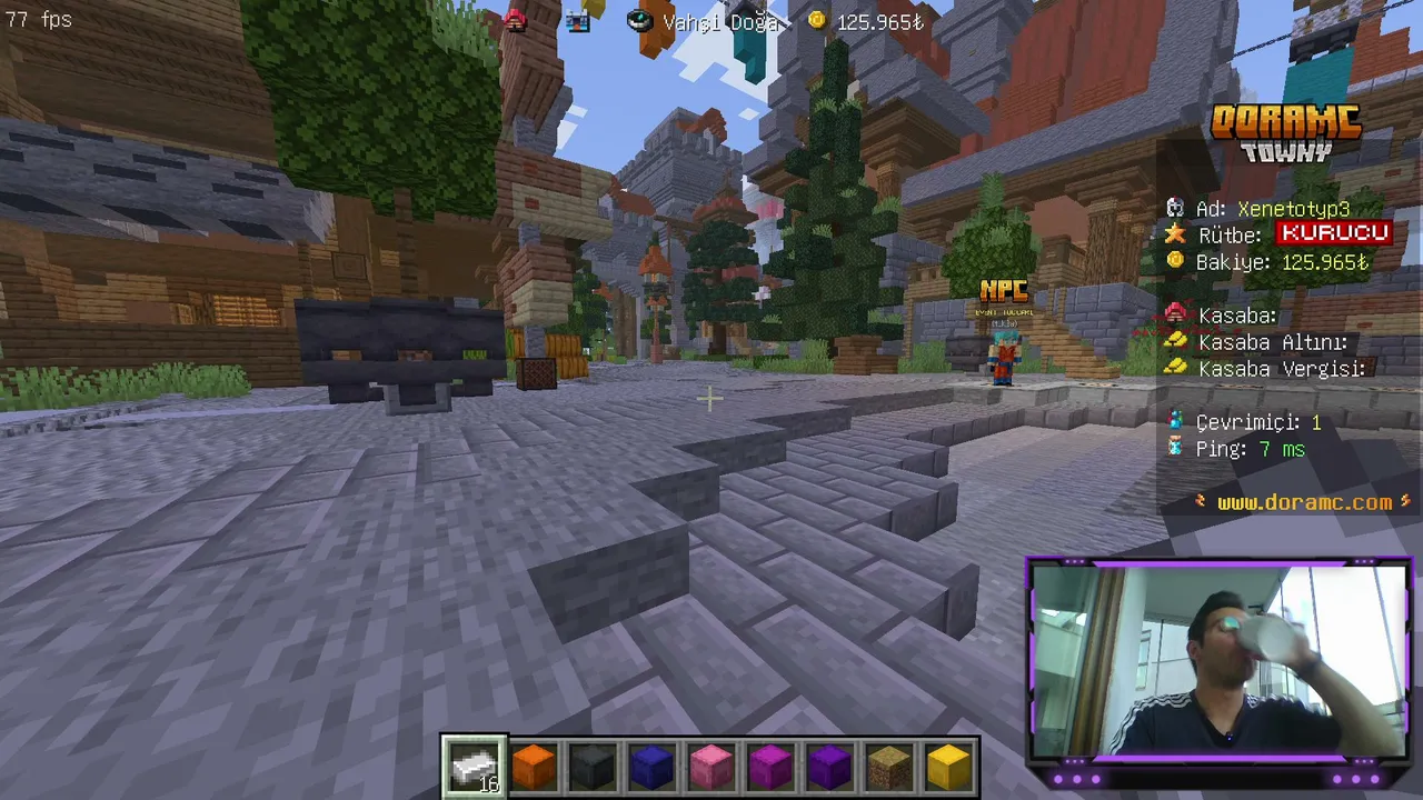 minecraft sunucusu geliştiriyorum