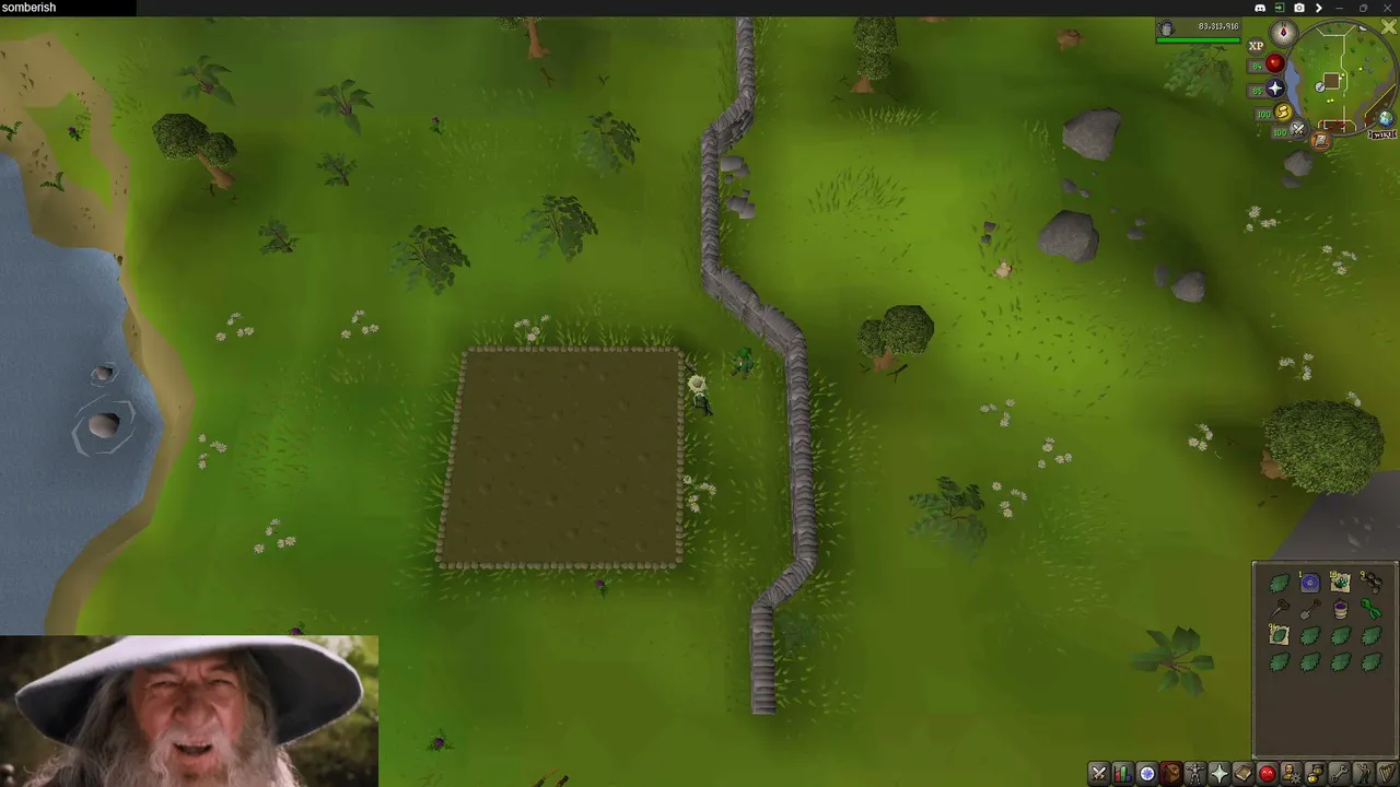 TEST.STREAM.NO.MiC.NO.CAM.OSRS.S01E496.1080P.60FPS.WEB.NVENC.H264-somberish.mp4