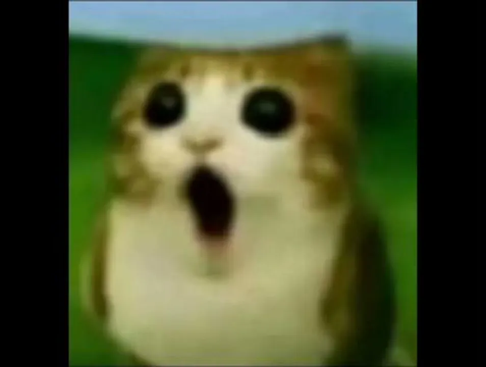 والله تست للاعدادات