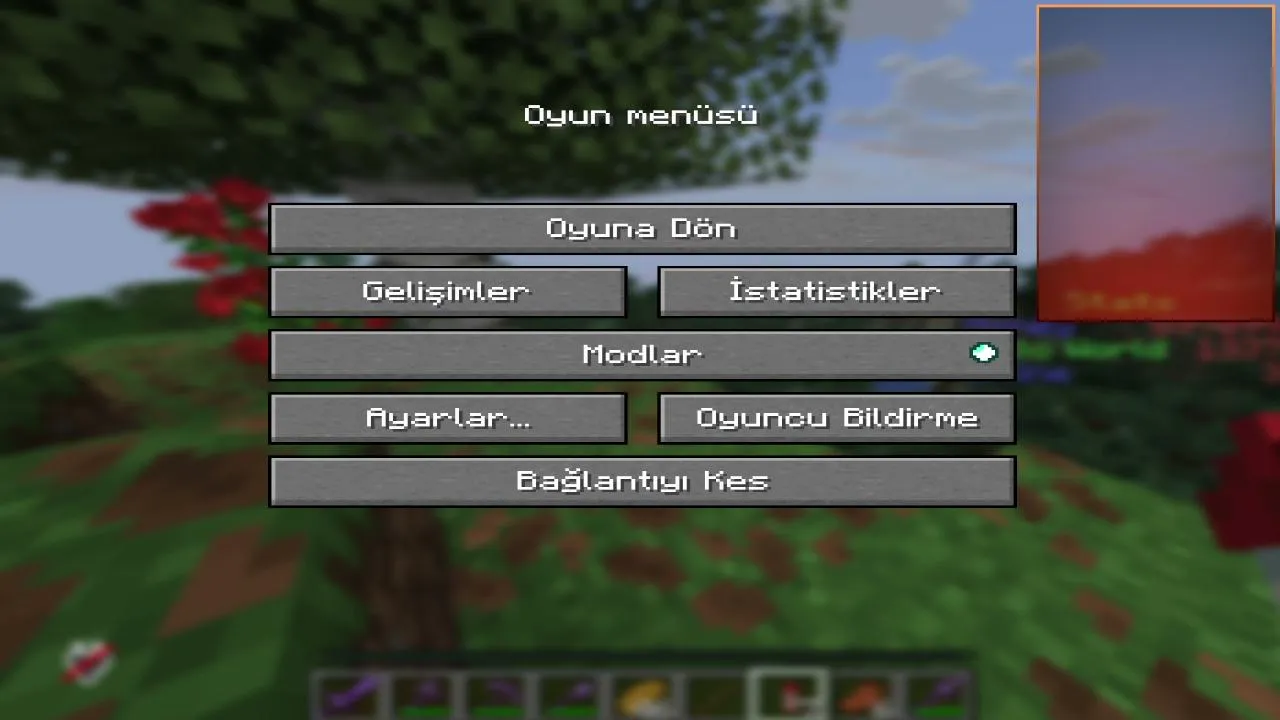 Gece SMP Yayını