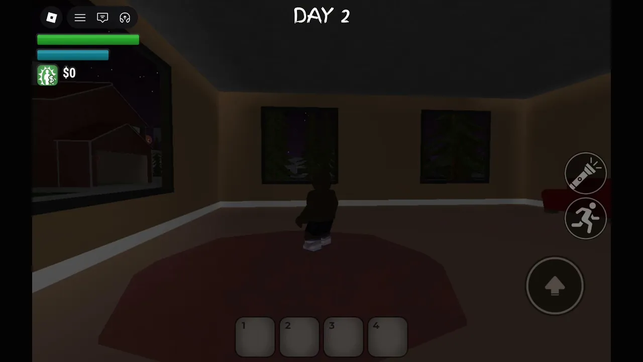 hraní s amatérem   roblox a potom Fortnite