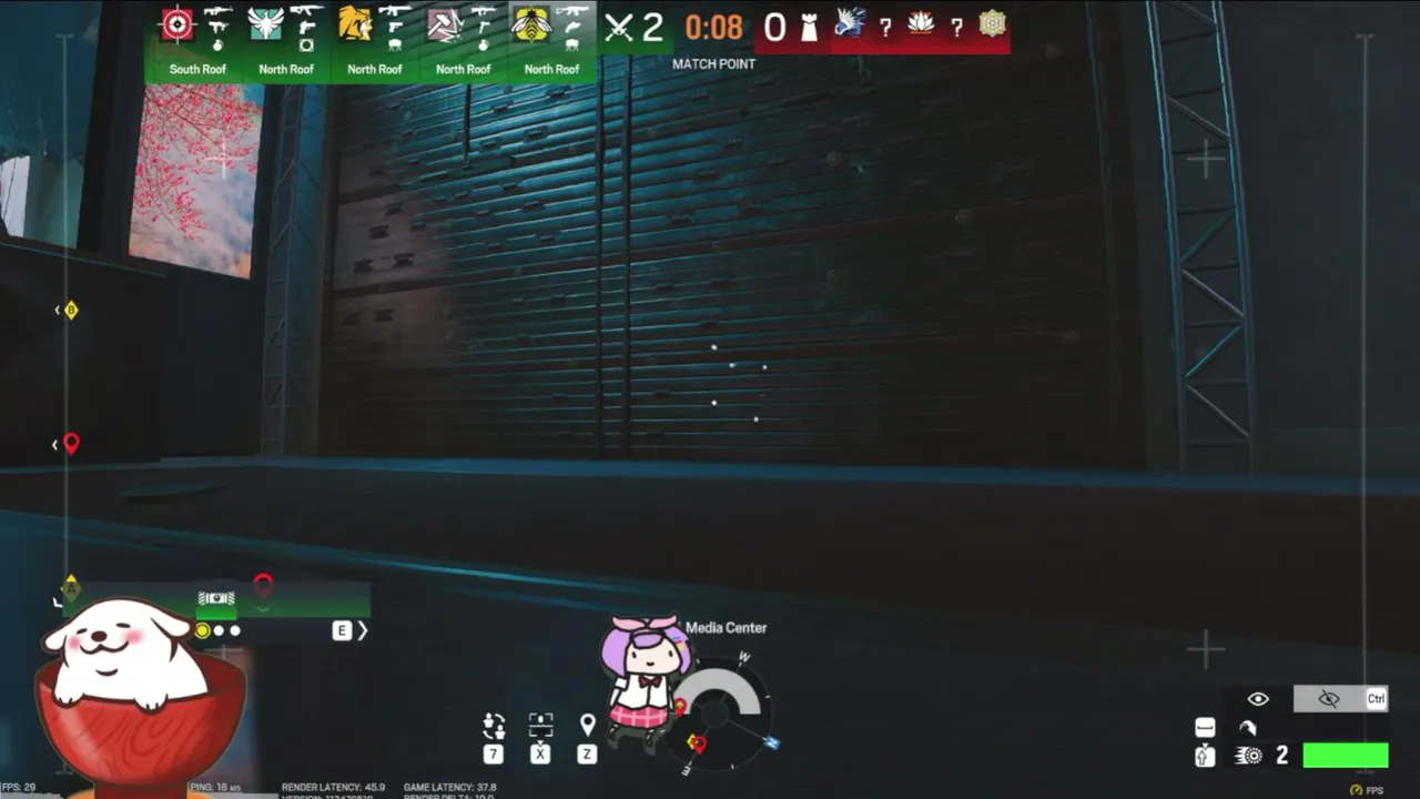 Pros dont fake