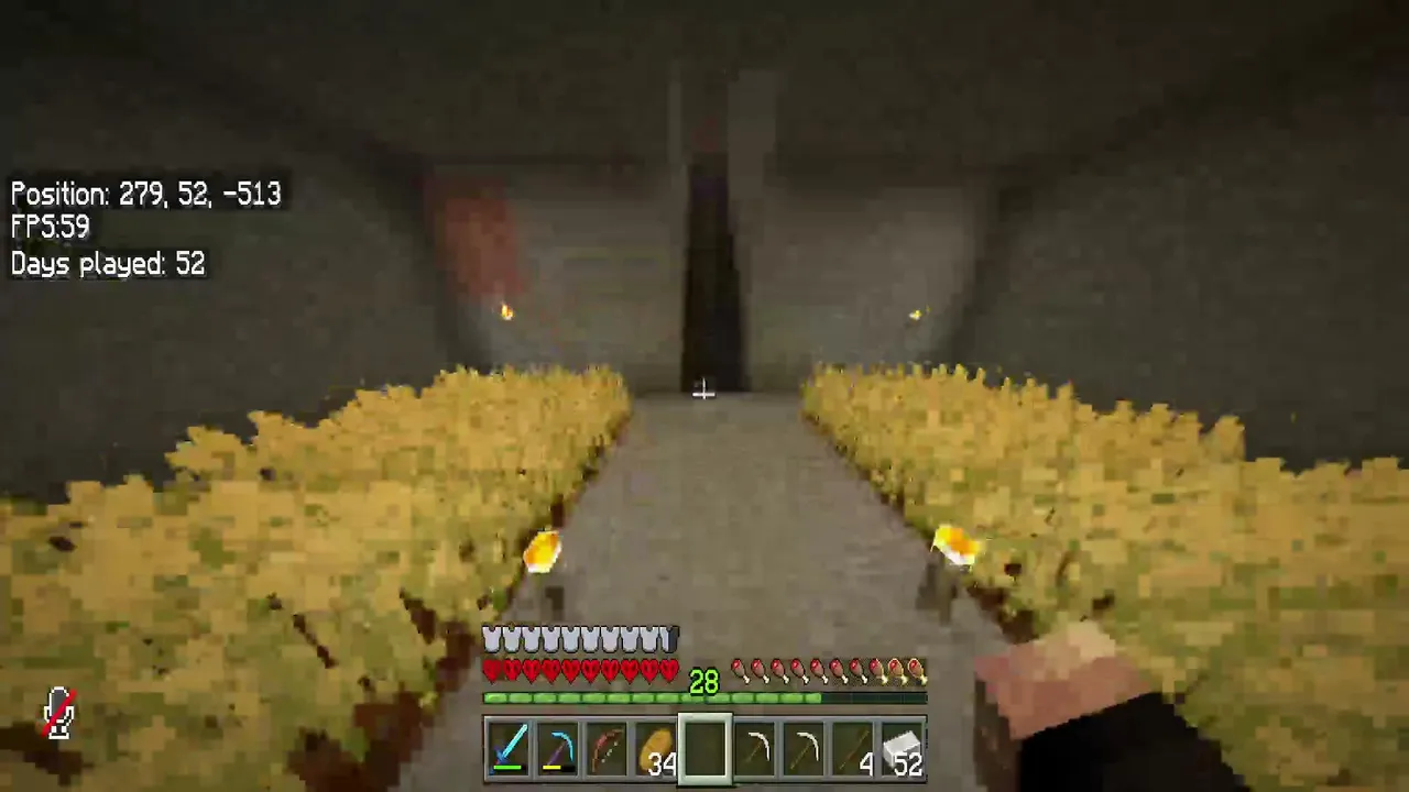 Houston 5,3 Streamer Playing Minecraft or The Last Of Us