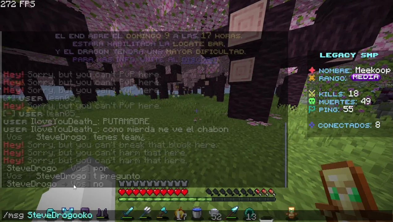 jugando minecraftt