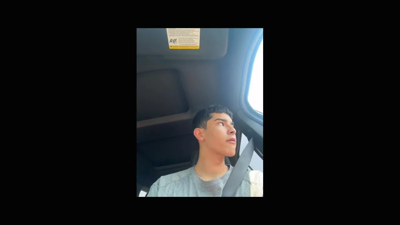 daily vlog