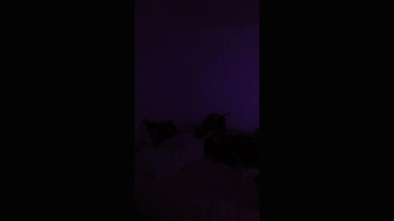 My first stream.