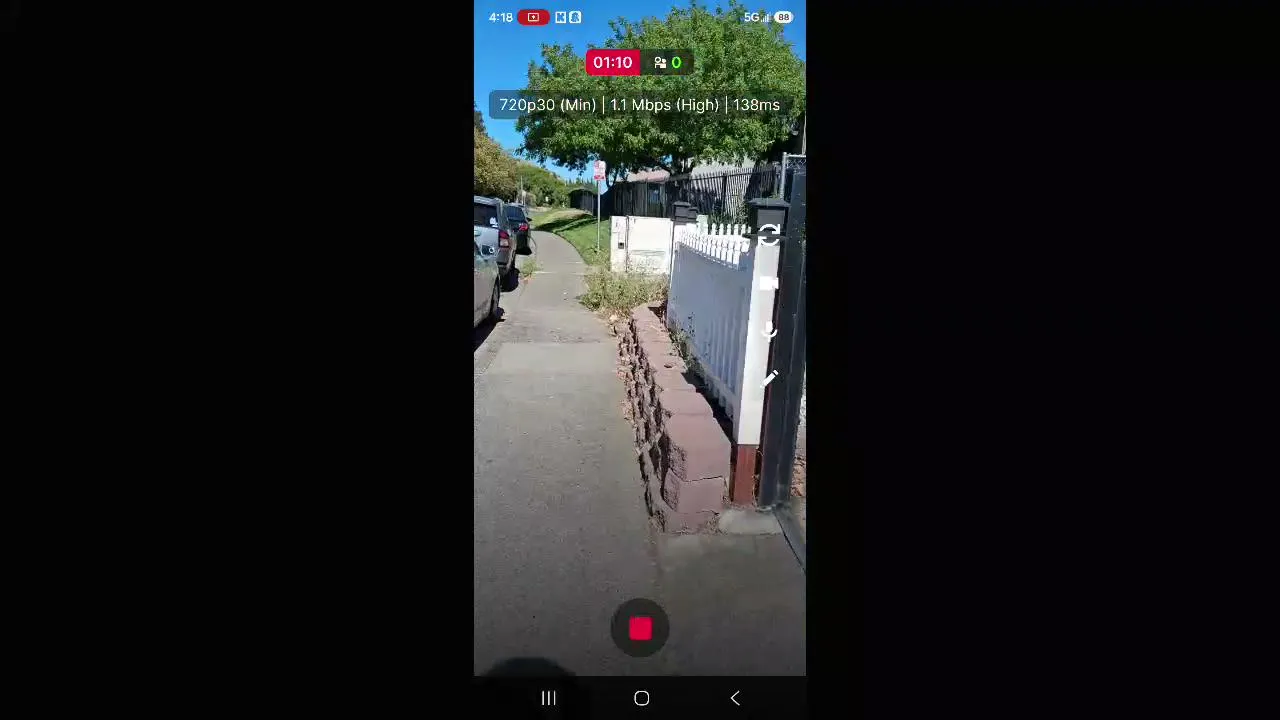 Daily Walks