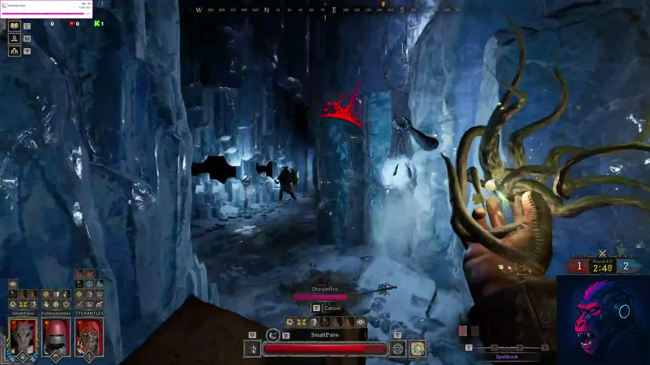 [DROPS] show time  | !ssf !druid !rank [Dark and Darker]