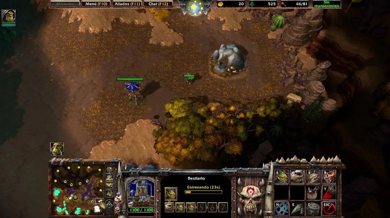 JUGANDO WARCRAFT