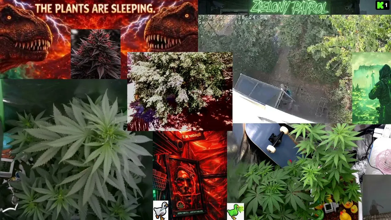 Green Patrol LIVE 24/7  Cyber-Green Nature Camera  Silent Plant Observation  Deep Chill Atmosphere Educational & Relaxing Stream Germany