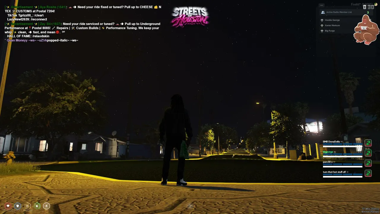 BIG PURGE IN STREETS OF HOUSTON V3 RP